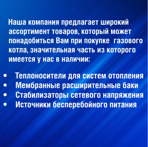 Котел настенный газовый THERMEX EuroElite F16 кВт закр.кам. (К1) фото 2